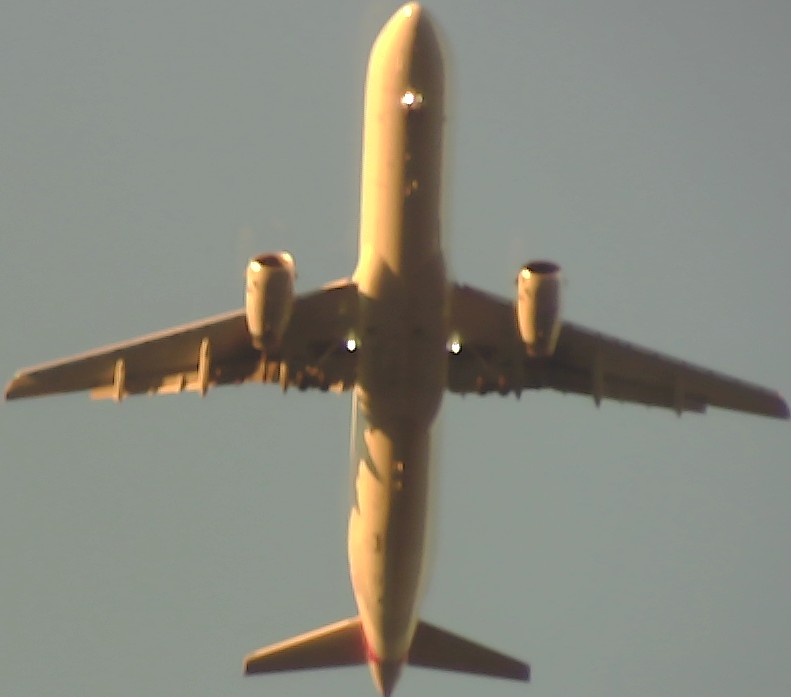 Airplane Picture