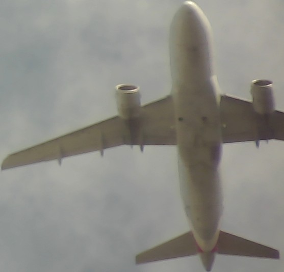 Airplane Picture