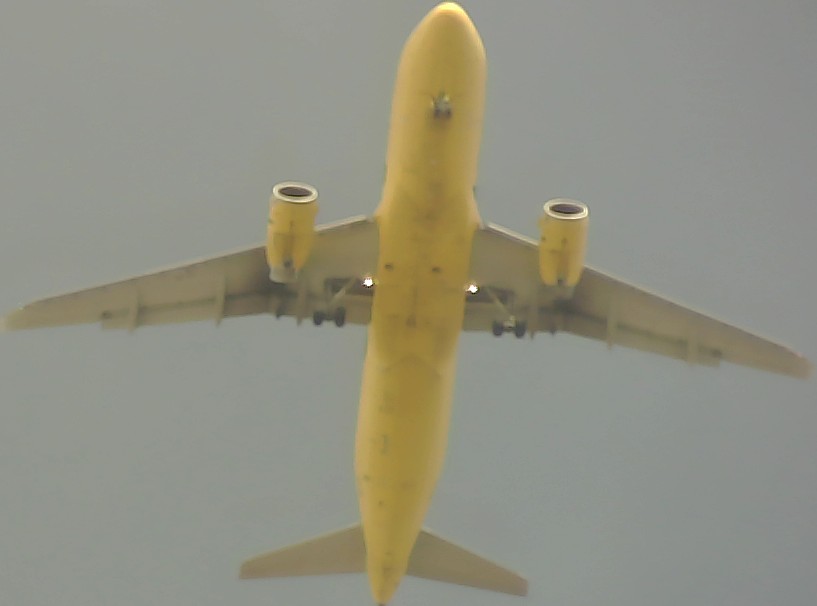 Airplane Picture