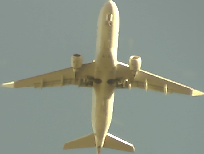 Airplane Picture