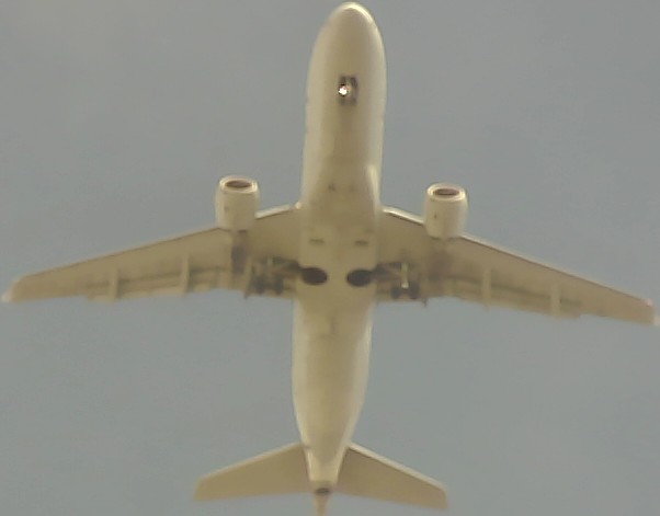 Airplane Picture