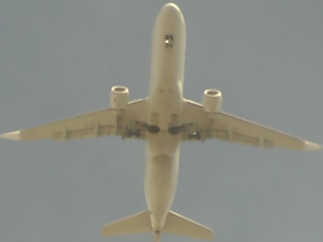 Airplane Picture