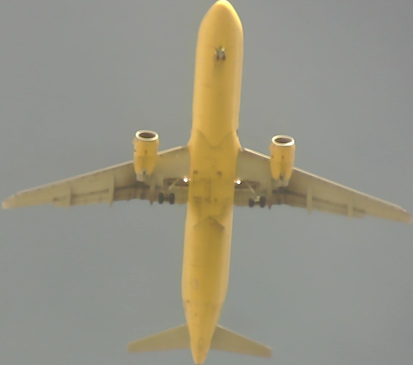 Airplane Picture