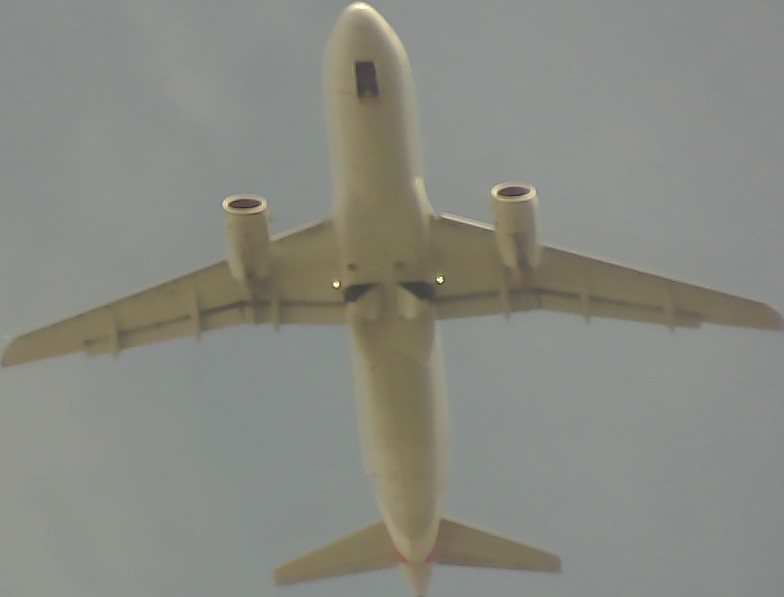 Airplane Picture