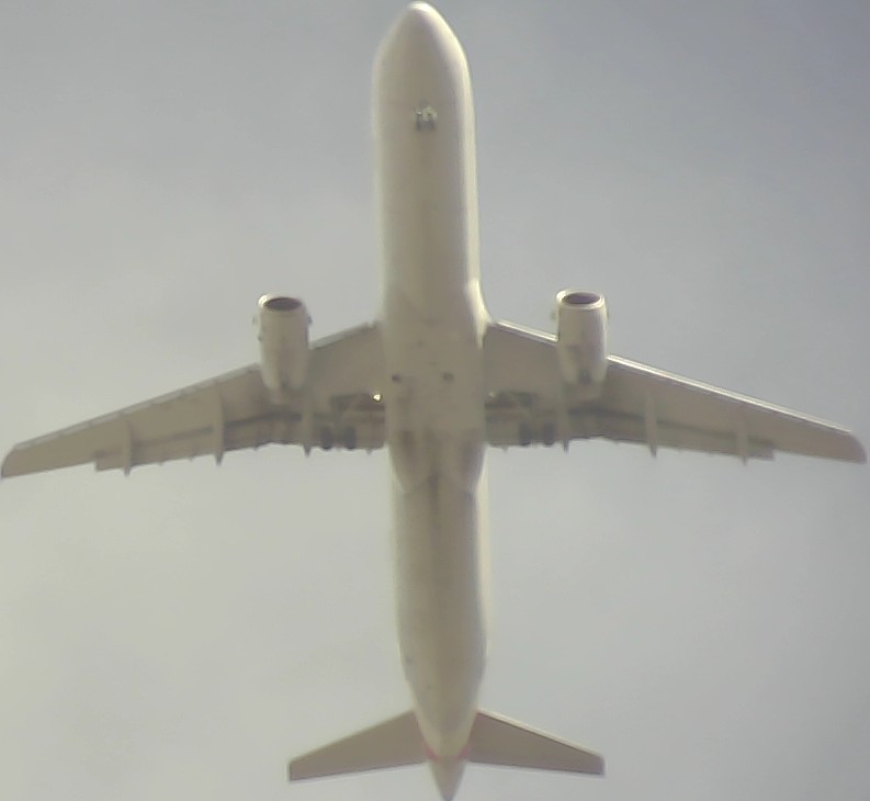 Airplane Picture