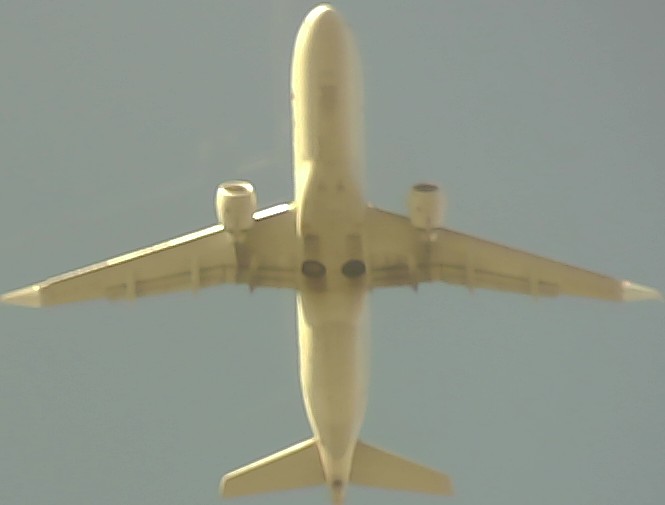 Airplane Picture