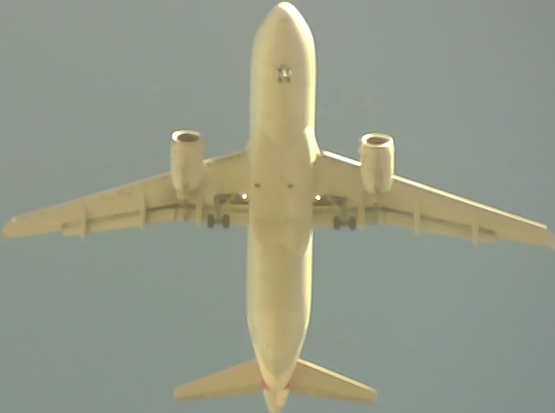 Airplane Picture
