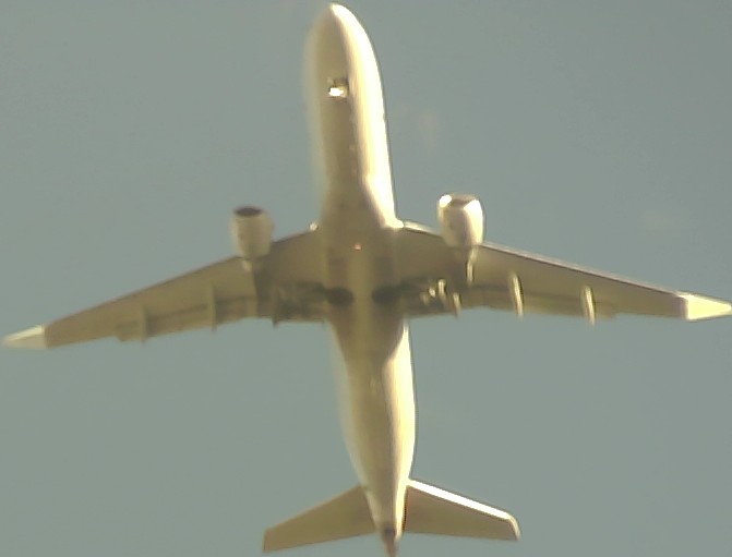 Airplane Picture