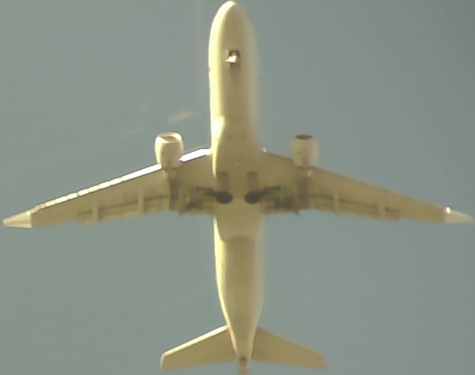 Airplane Picture