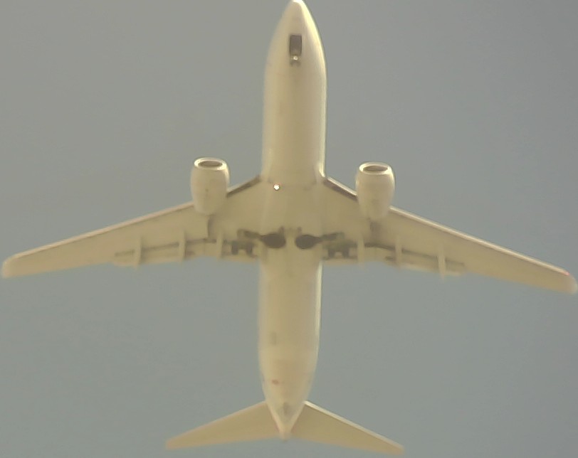 Airplane Picture