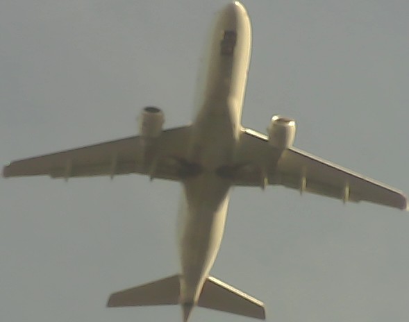 Airplane Picture