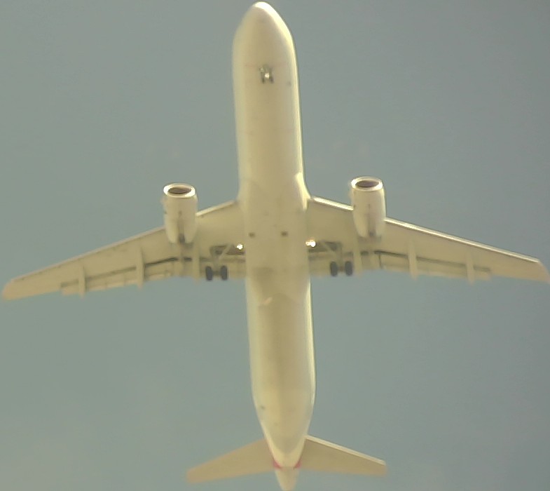 Airplane Picture
