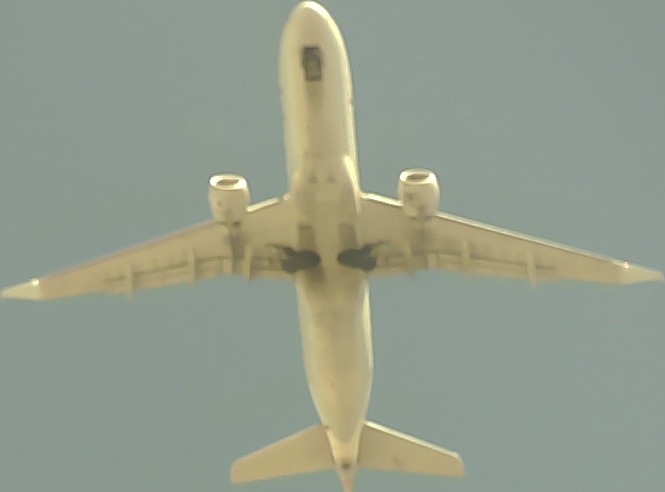 Airplane Picture
