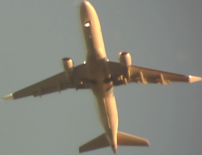 Airplane Picture