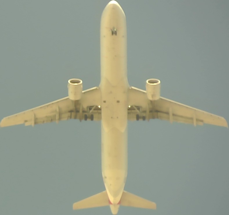 Airplane Picture