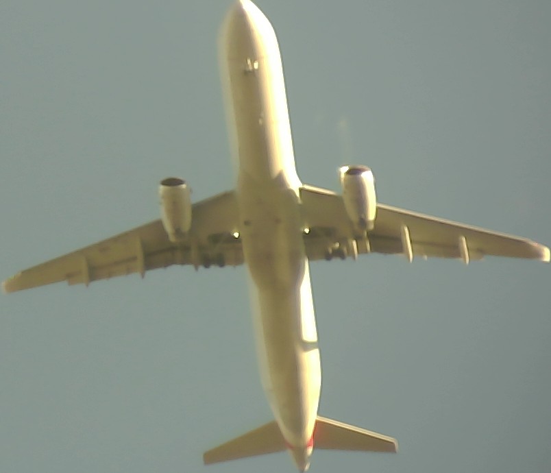 Airplane Picture