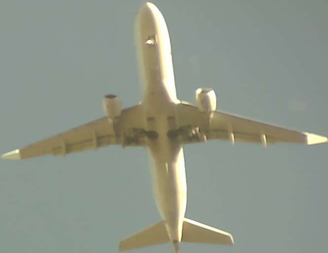 Airplane Picture