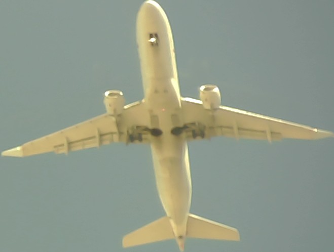 Airplane Picture