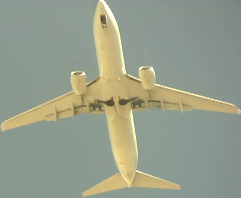 Airplane Picture