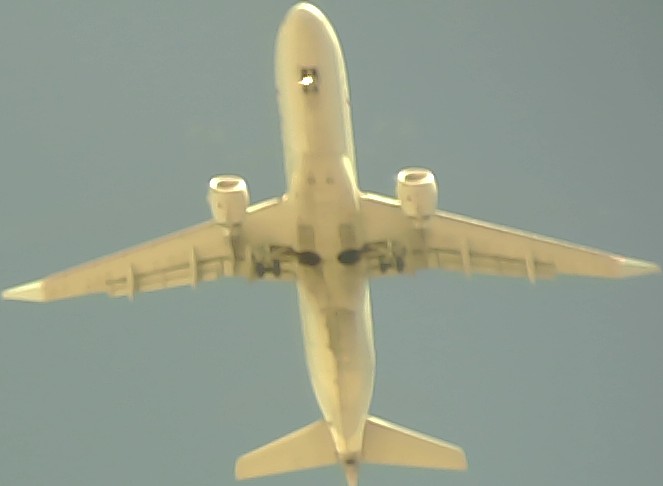 Airplane Picture