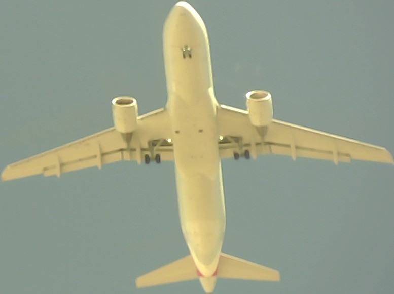 Airplane Picture