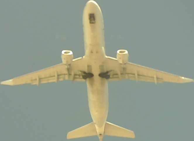 Airplane Picture