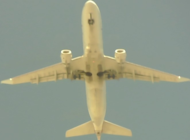 Airplane Picture