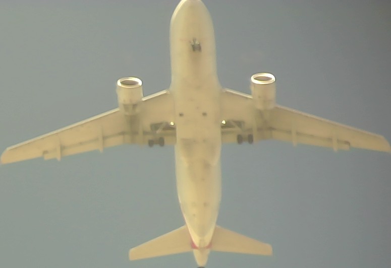 Airplane Picture