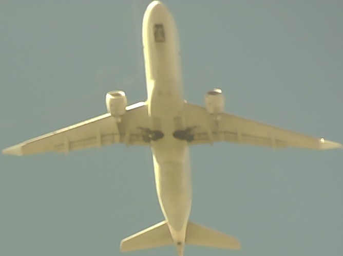 Airplane Picture