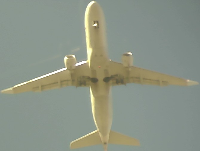 Airplane Picture