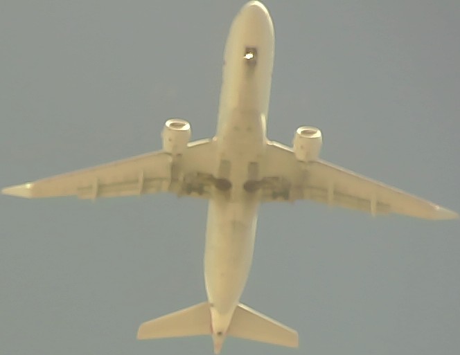 Airplane Picture