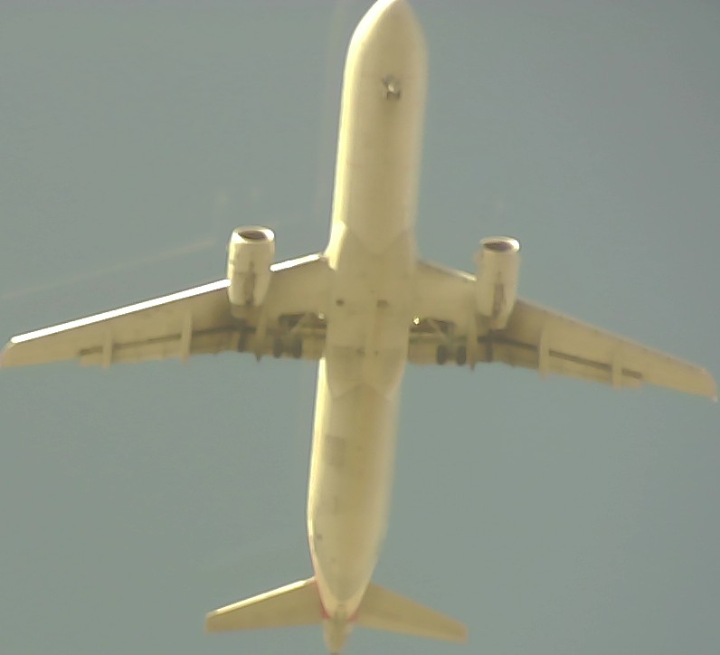 Airplane Picture