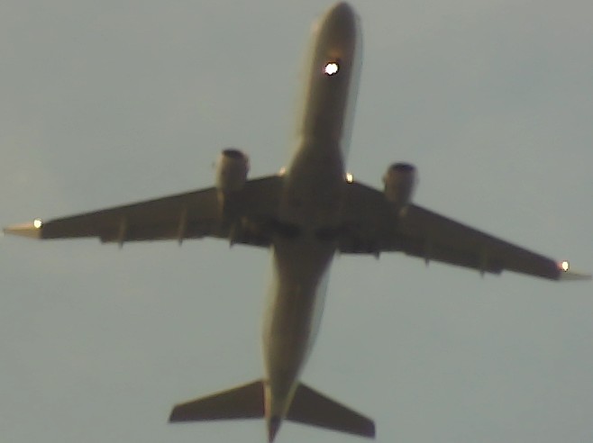 Airplane Picture
