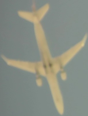 Airplane Picture