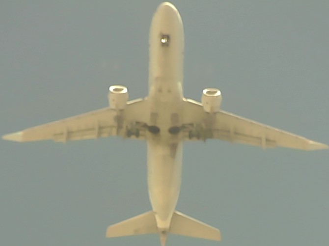 Airplane Picture