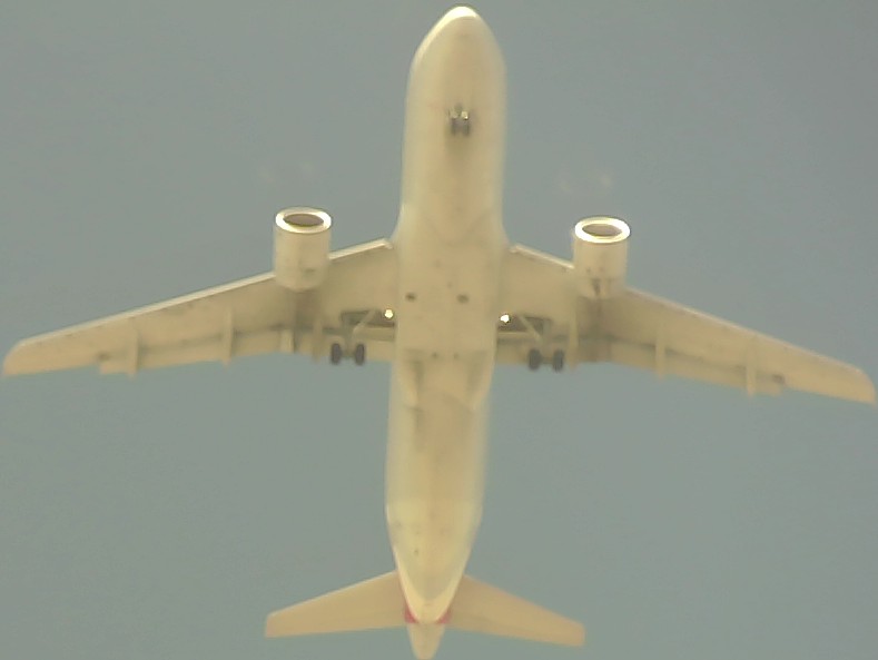 Airplane Picture