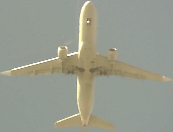 Airplane Picture