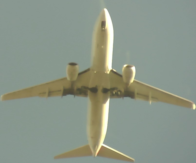 Airplane Picture