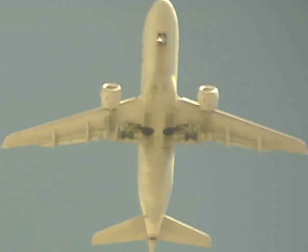 Airplane Picture