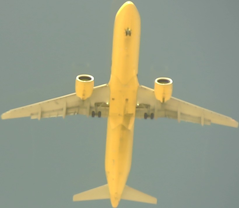 Airplane Picture