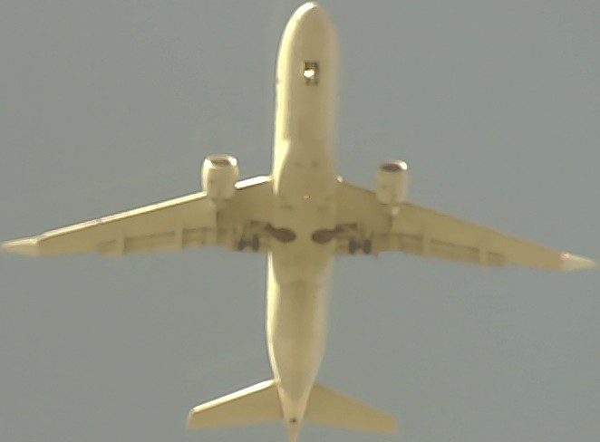 Airplane Picture