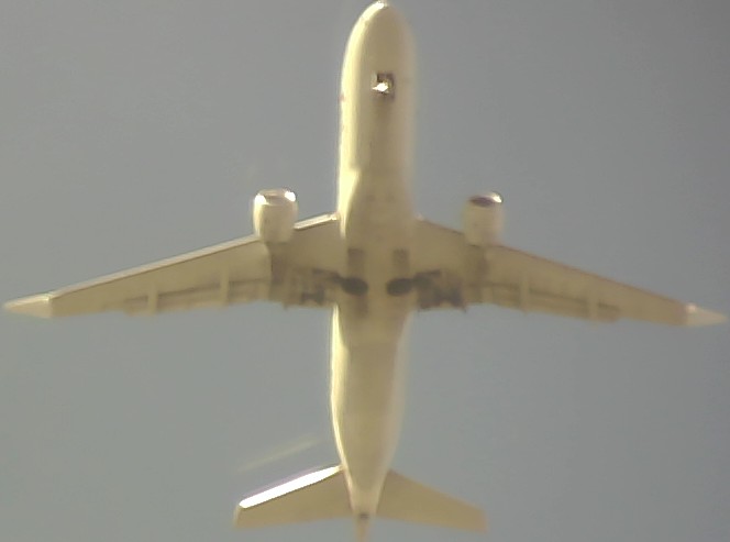Airplane Picture