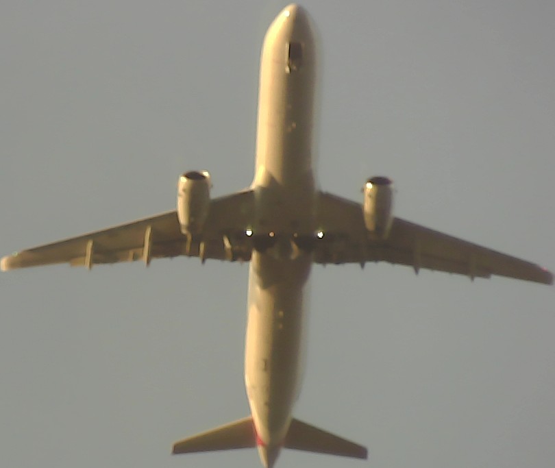 Airplane Picture