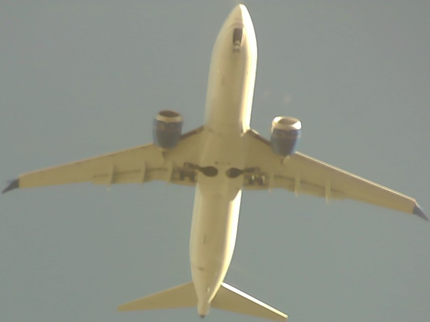 Airplane Picture