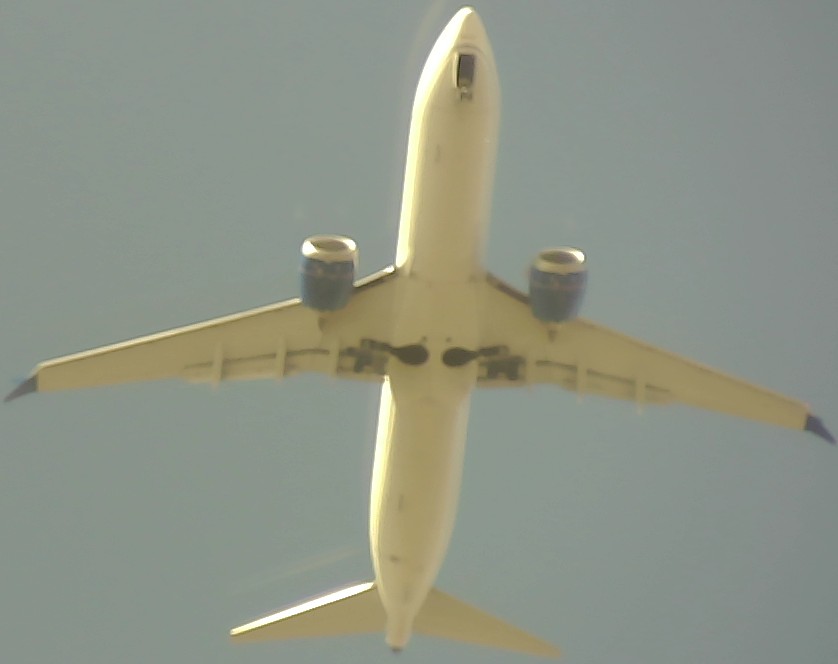 Airplane Picture