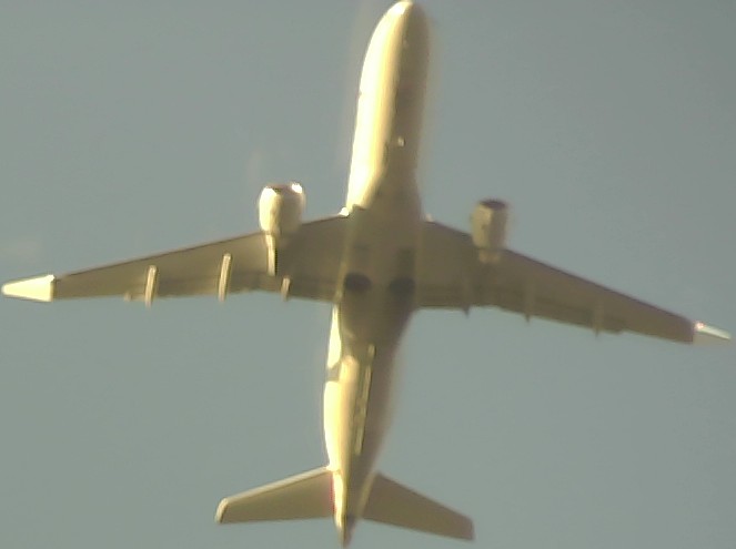 Airplane Picture