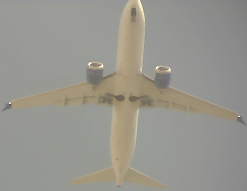 Airplane Picture