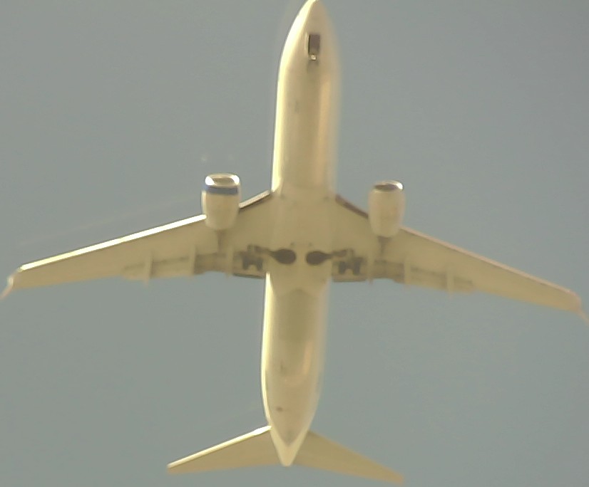 Airplane Picture