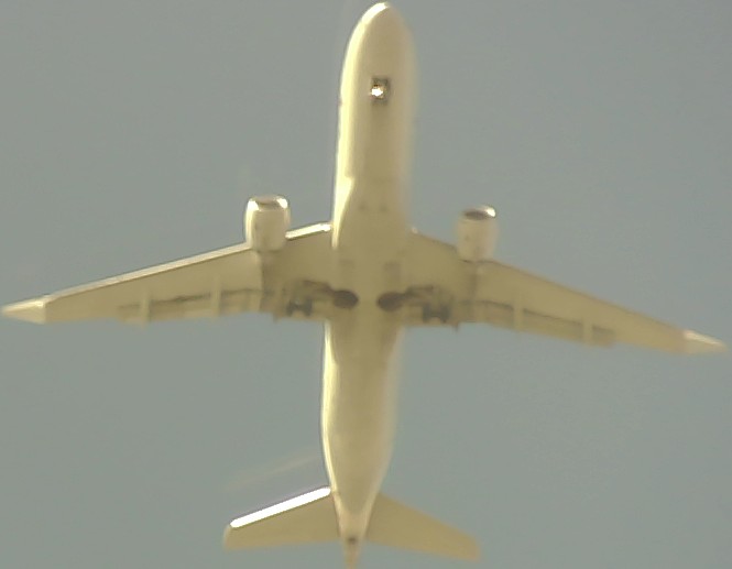 Airplane Picture