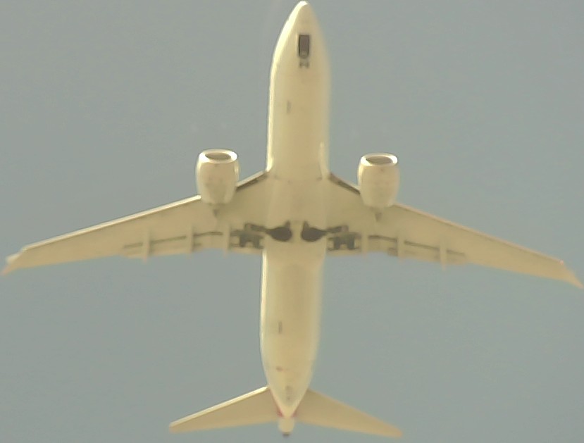 Airplane Picture